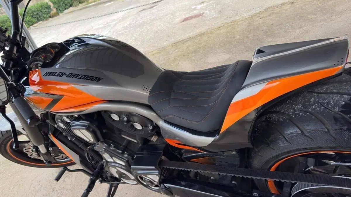 Harley-Davidson 1250 V-Rod Muscle (2009 - 17) - VRSCF  (9)
