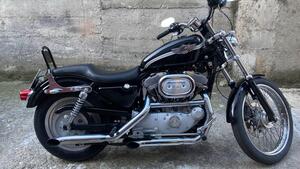 Harley-Davidson 883 Custom (2001 - 05) - XL 53C 