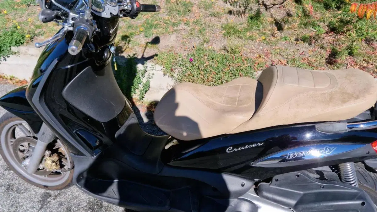 Piaggio Beverly Cruiser 500  (6)