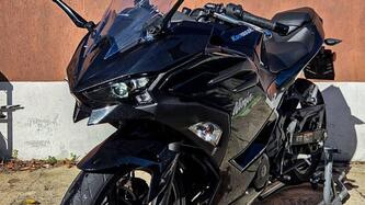 Kawasaki Ninja 500 (2024 - 26) usata