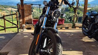 Harley-Davidson Nightster (2023 - 25) usata