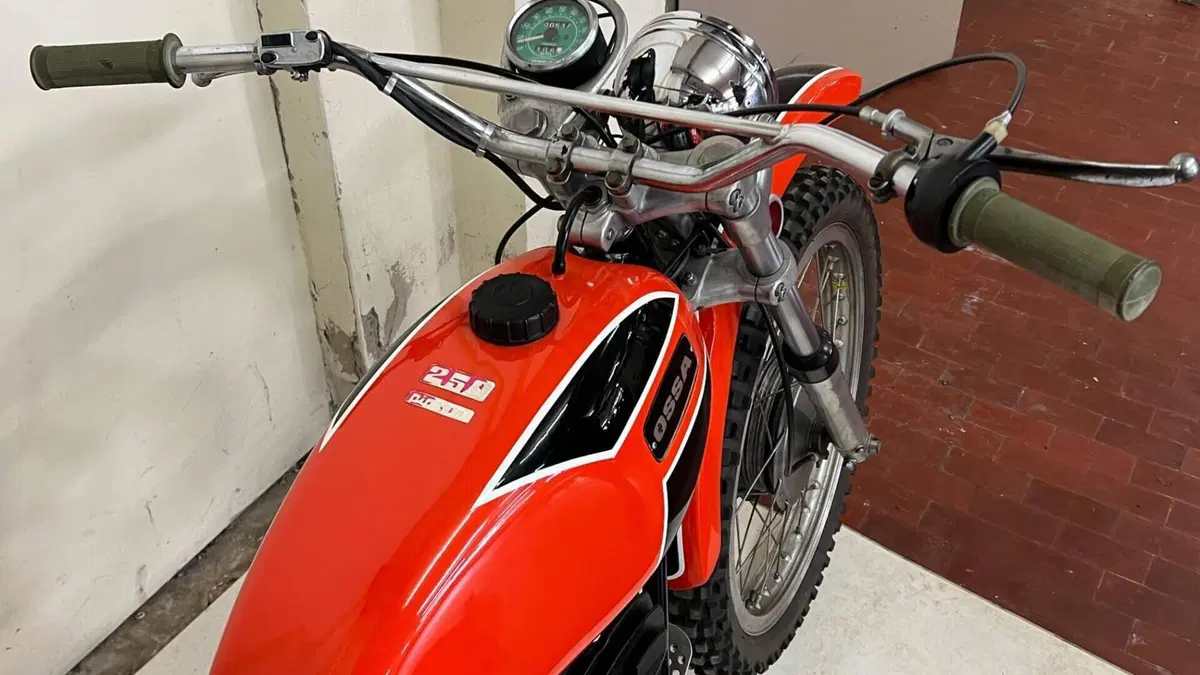 Ossa   (5)