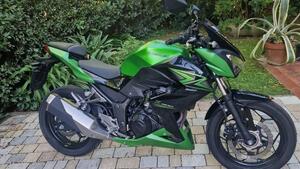 Kawasaki Z 300 ABS (2015 - 16)