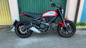 Ducati Scrambler 800 Icon (2015 - 16)