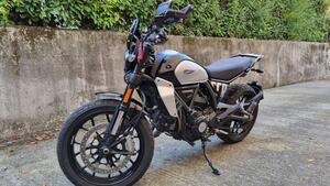 Ducati Scrambler 800 Icon (2023 - 25)
