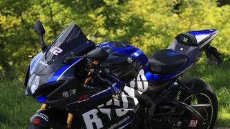Suzuki GSX-R1000R (2017 - 18) usata