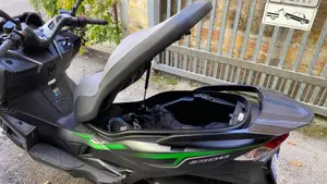 Kawasaki J 300 (2017 - 21)  (5)