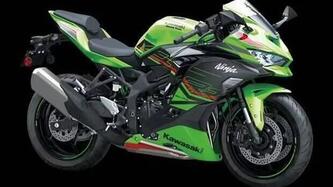 Kawasaki Ninja ZX-4RR (2024 - 26)