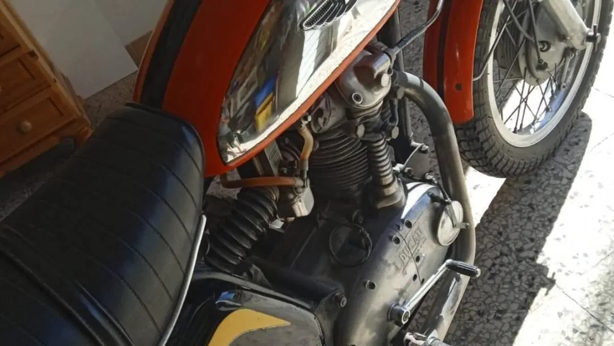 Ducati   (6)
