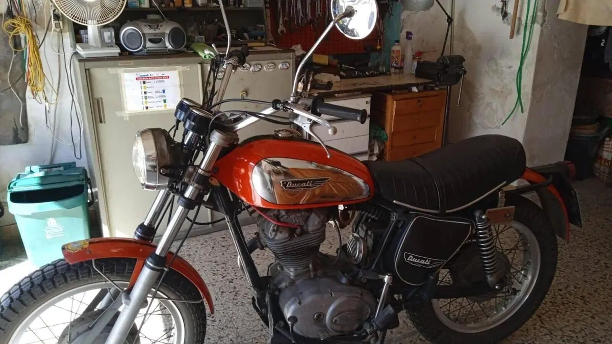 Ducati   (7)