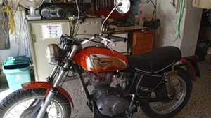 Ducati   (7)