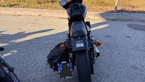 Harley-Davidson 1200 Custom ABS (2014 - 16) - XL 1200C 