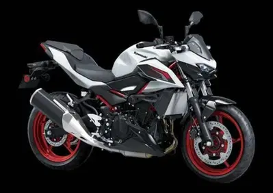Kawasaki Z 500 SE (2024 - 26) - Annuncio 9864538