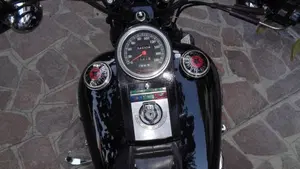Harley-Davidson   (4)