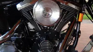 Harley-Davidson   (7)