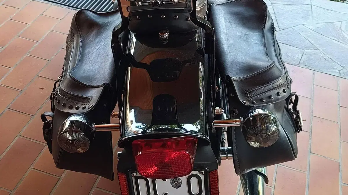 Harley-Davidson   (10)