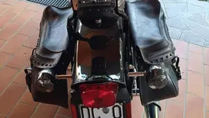 Harley-Davidson   (10)
