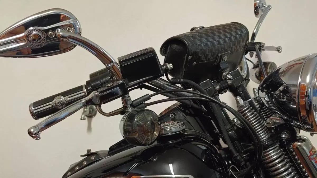 Harley-Davidson   (11)