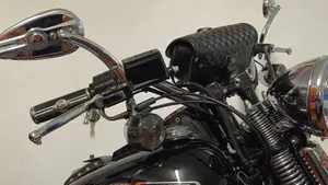 Harley-Davidson   (11)