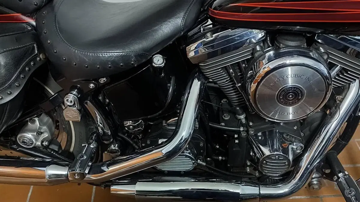 Harley-Davidson   (13)