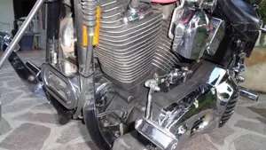 Harley-Davidson   (18)