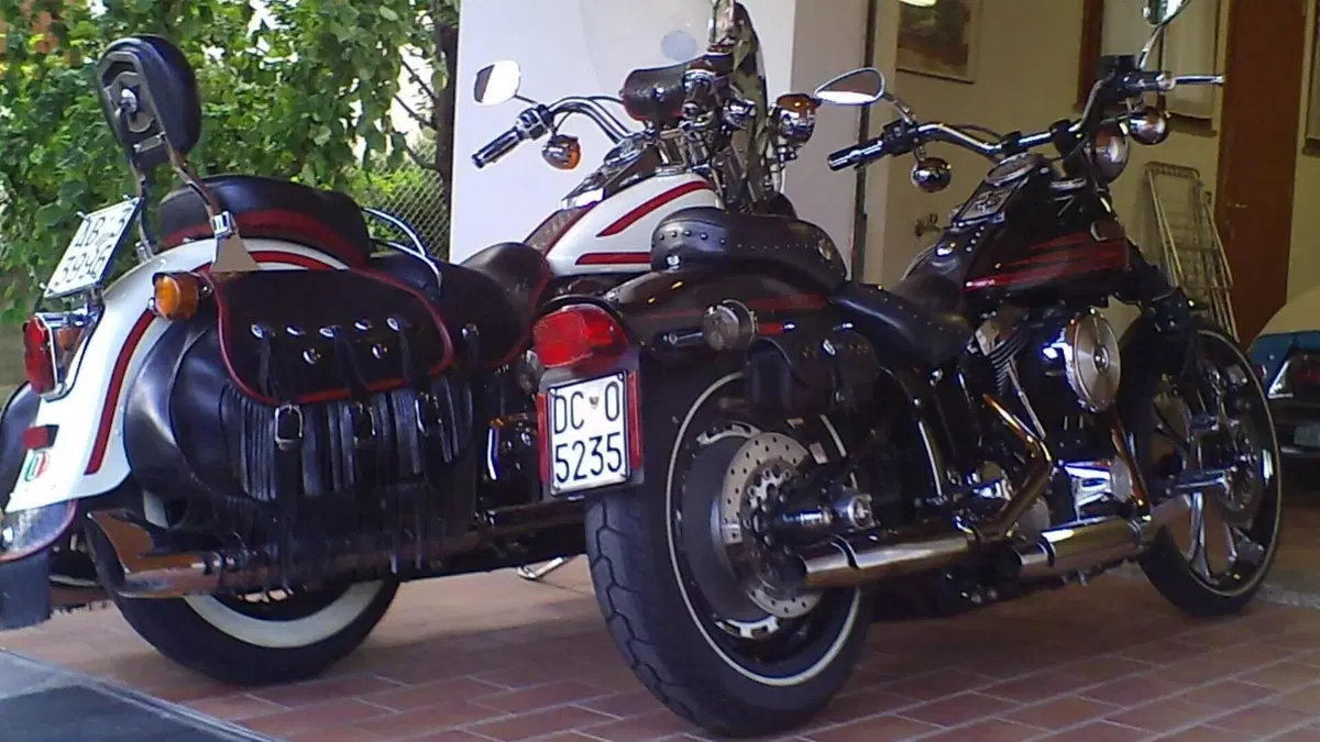 Harley-Davidson   (19)