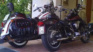 Harley-Davidson   (19)
