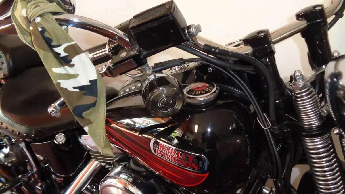 Harley-Davidson   (20)