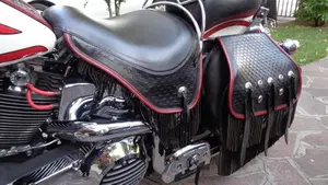 Harley-Davidson   (3)