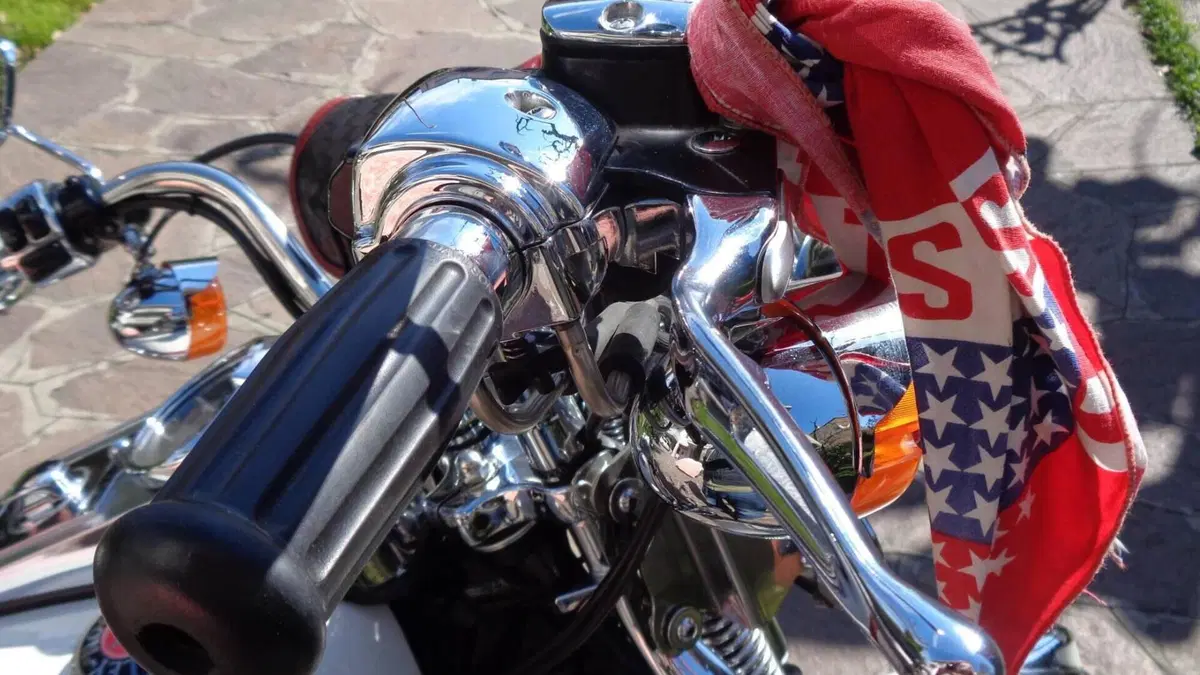 Harley-Davidson   (8)
