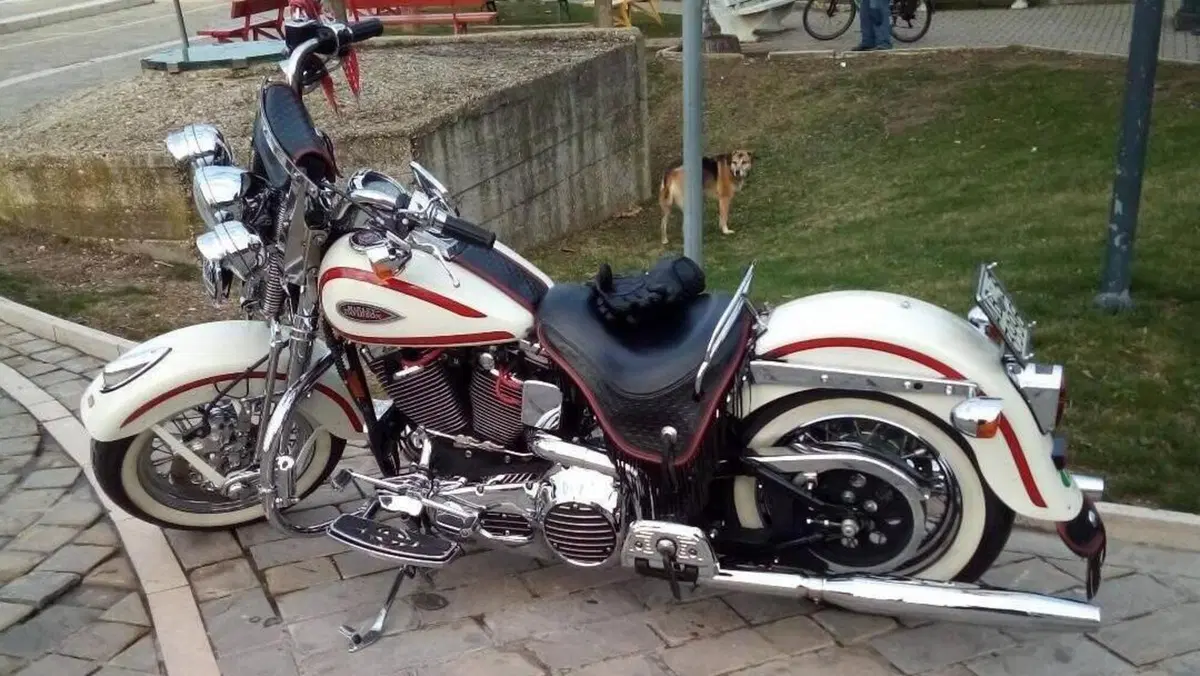 Harley-Davidson   (11)
