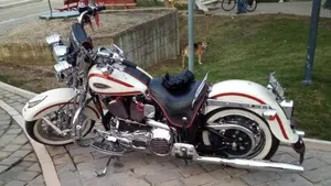 Harley-Davidson   (11)
