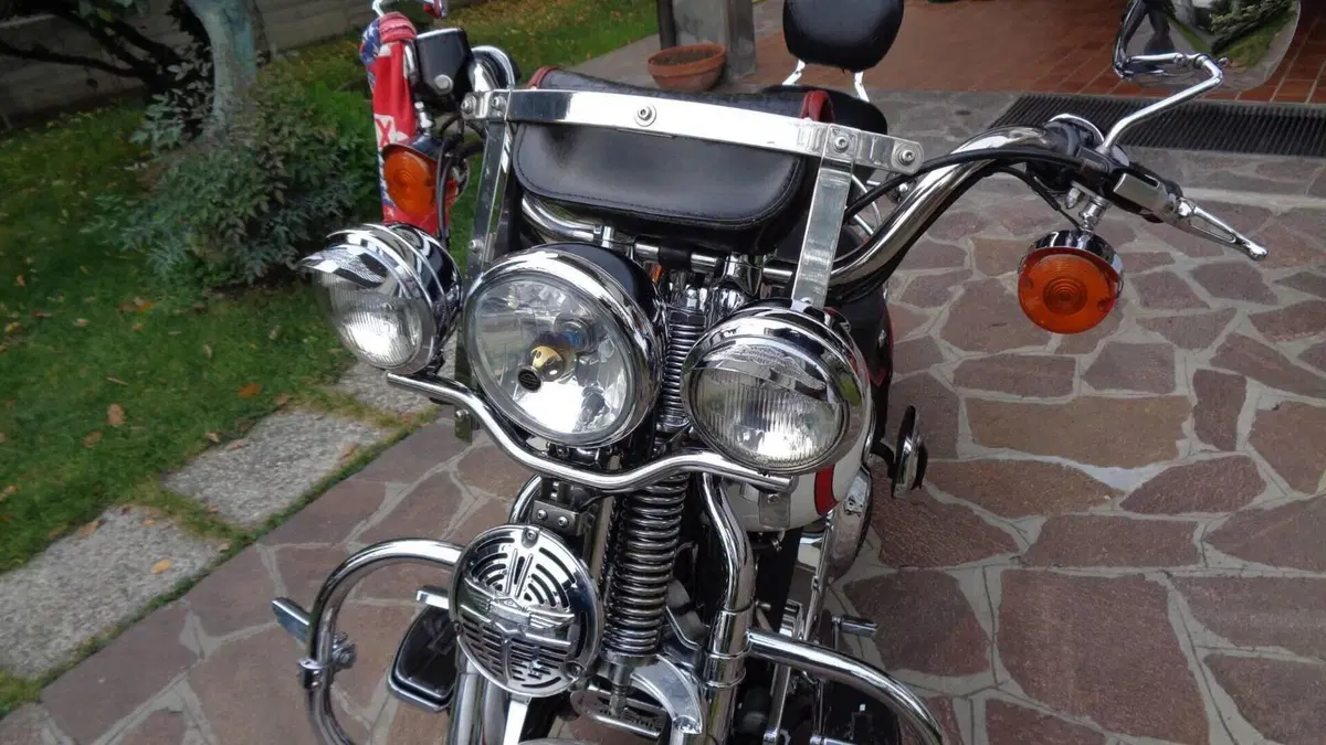 Harley-Davidson   (12)