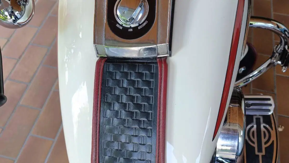 Harley-Davidson   (13)