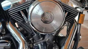 Harley-Davidson   (15)
