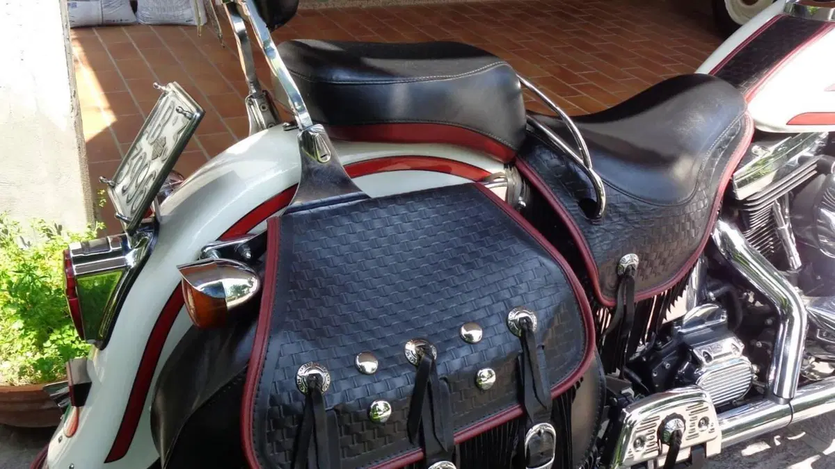 Harley-Davidson   (17)