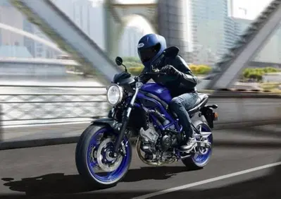 Suzuki SV650 (2025 - 26) - Annuncio 9864780