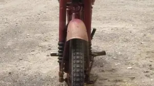 Ducati   (4)
