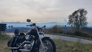 Harley-Davidson 1200 (1988 - 96) - HLX