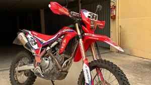 Honda CRF 300 L (2021 - 24)