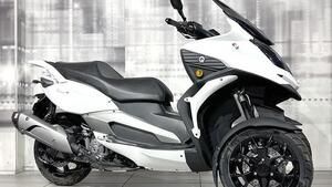 Quadro QV3 350 (2018 - 19) 