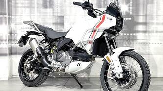 Ducati DesertX (2022 - 25) usata
