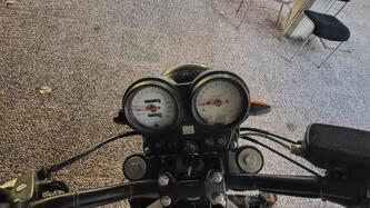 Honda Hornet 600 (2000 - 02) usata