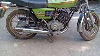 Moto Guzzi 250 ts epoca