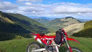 GASGAS EC 350 F (2023) 