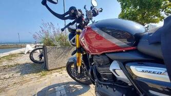 Triumph Speed 400 (2024 - 25) usata
