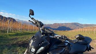 Yamaha MT-07 (2021 - 24)