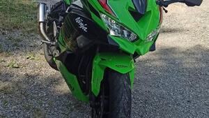 Kawasaki Ninja ZX-4RR (2024 - 26) 