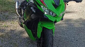 Kawasaki Ninja ZX-4RR (2024 - 26) usata