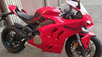 Ducati Panigale V4 (2022 - 24)